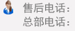 法國vs冰島